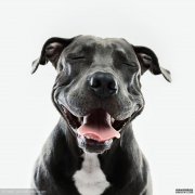 “必一·体育(B”利物浦胜西汉姆联队取九连胜登积分榜首 今年能否夺冠?